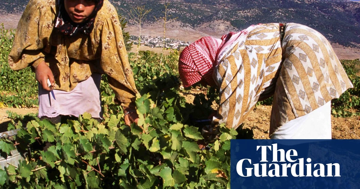 ‘The quality of Lebanese wine is absolutely incredible’