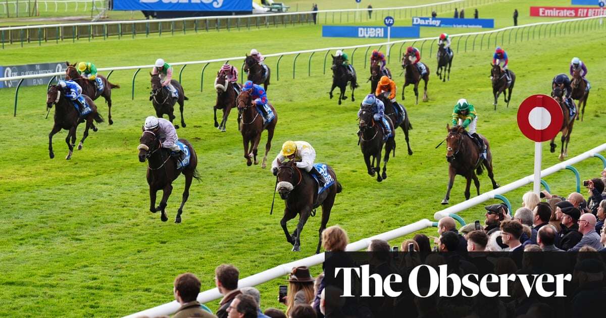 Whip ruling means Cesarewitch joy may be short-lived for Alphonse Le Grande