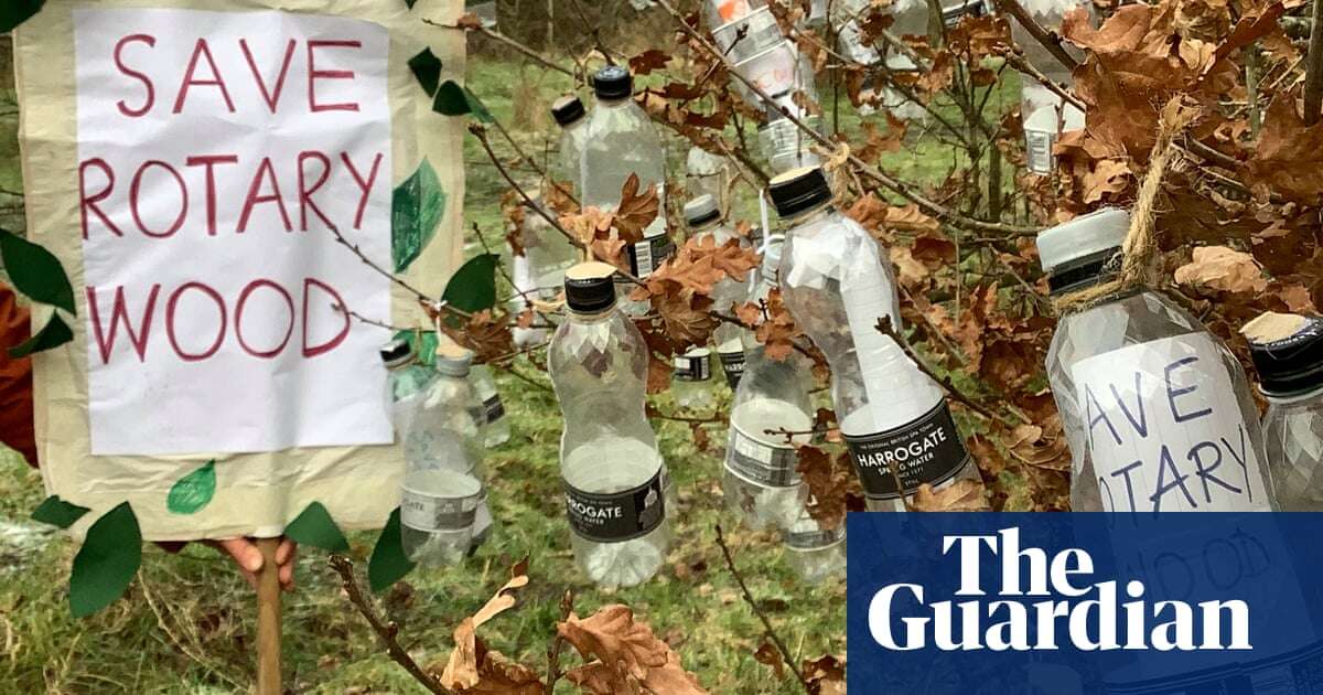 Harrogate Spring Water planning to cut down wood planted by schoolchildren