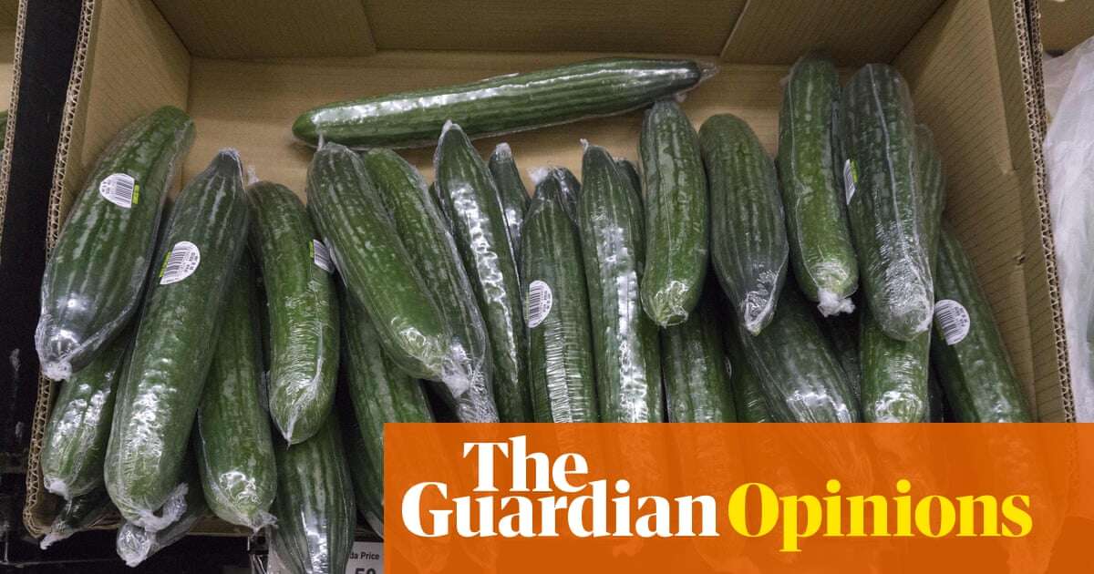 Is it any wonder our kids don’t eat their greens when the veg we provide is so insipid? | Rhiannon Lucy Cosslett