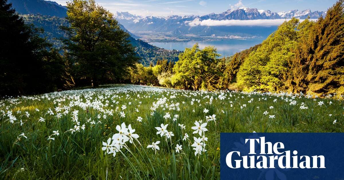 Swiss voters reject biodiversity proposal in blow to conservation campaigners