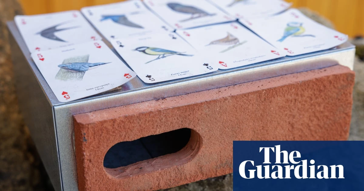 Labour blocks proposal for ‘swift bricks’ in all new homes