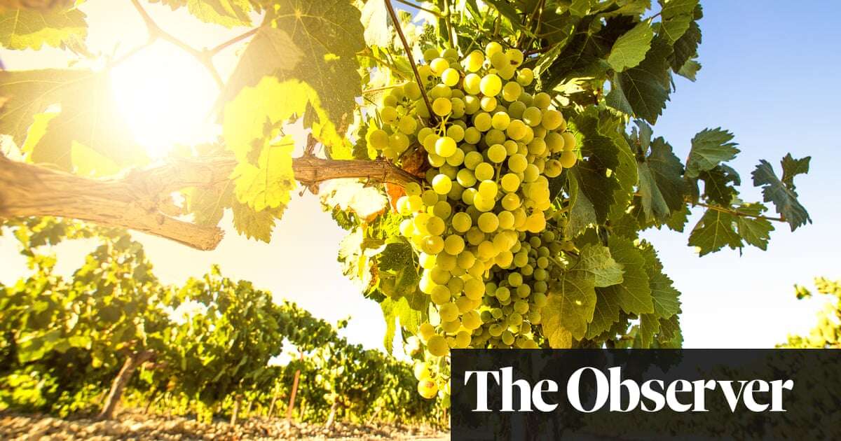 Go orange: distinctive wines made in unusual ways