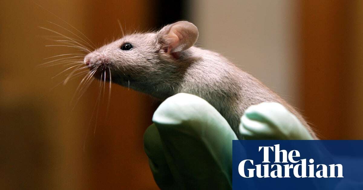 Singing mice, constipated kids and nurture beats nature: science stories of the week – podcast