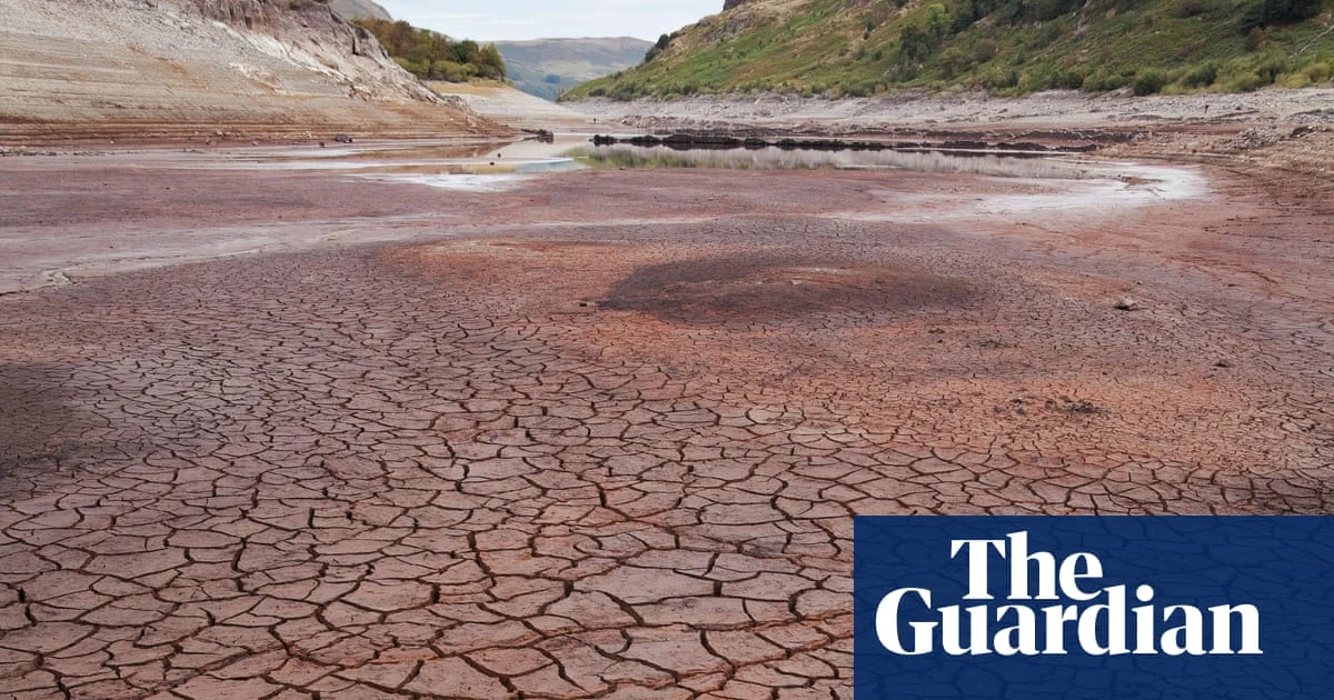 Dry weather and low river flows make UK summer drought likely, scientists say