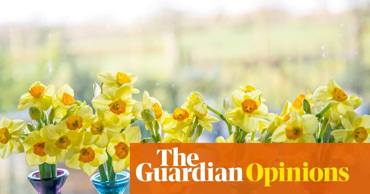 Sunshine’s back, the days are getting longer – and doesn’t everything look awful? | Emma Beddington