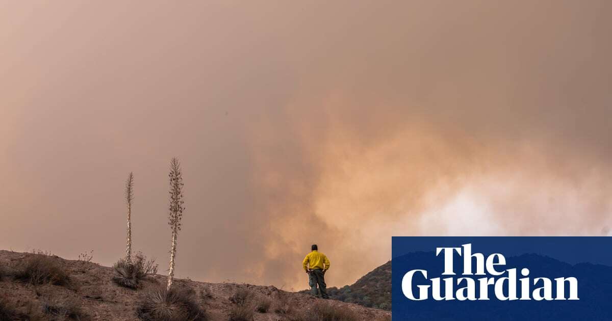 Burned-out firefighters are fleeing the US Forest Service amid labor disputes: ‘We are decimated’