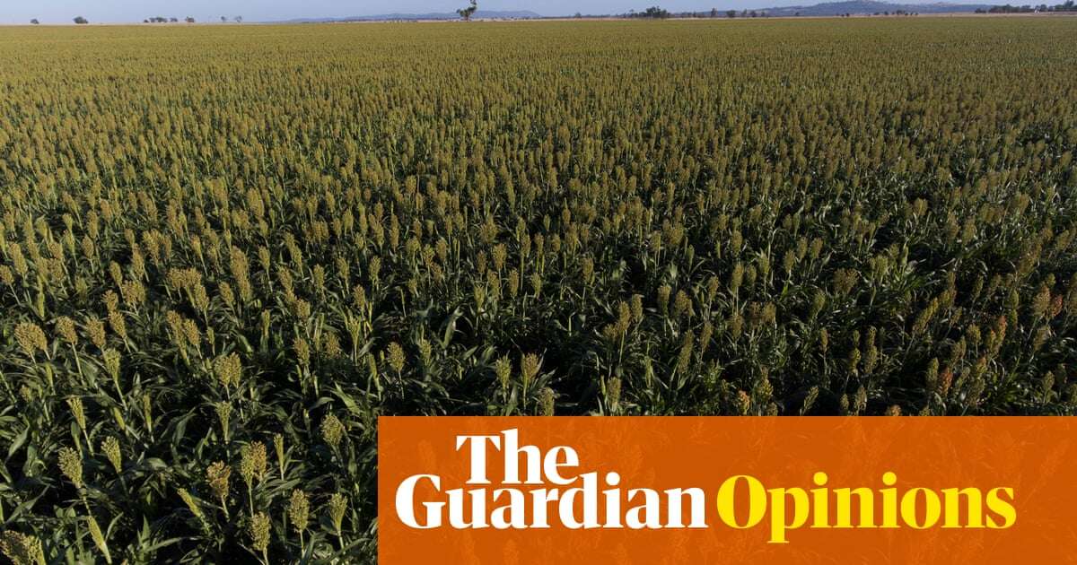 Australia’s drought planning should begin now, not when the rain dries up