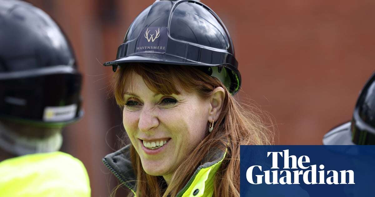 Prioritise people’s needs ‘over newts’ in housing policy, says Angela Rayner