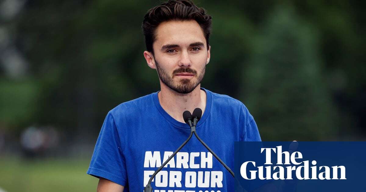 Parkland shooting survivor David Hogg runs for Democratic committee post: ‘We can’t win without young voters’