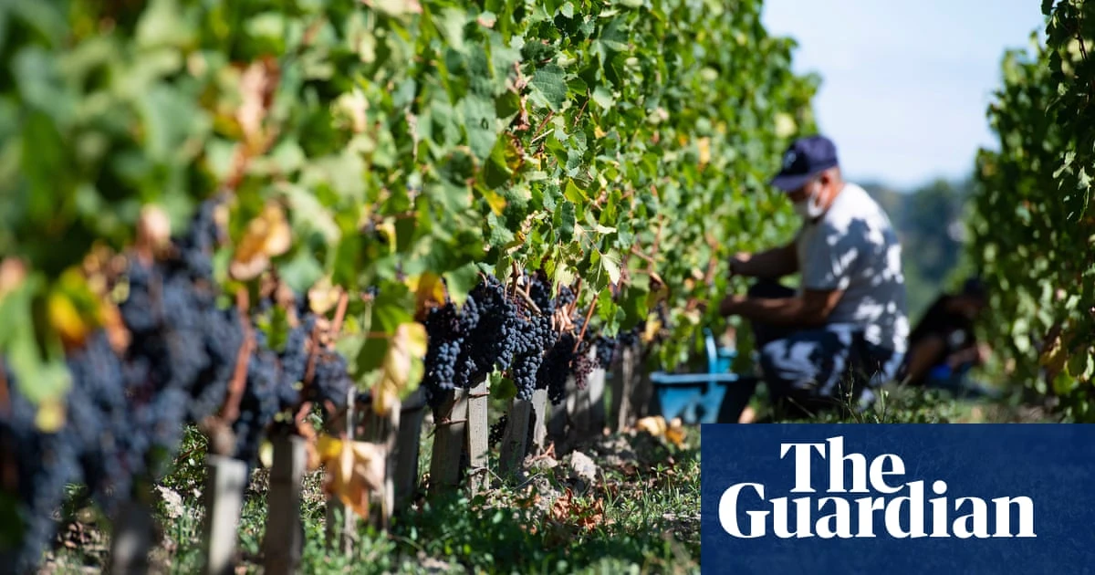 Researchers create AI tool with a nose for fraudulent wine