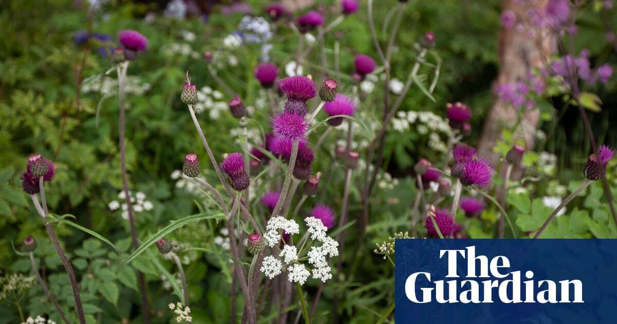 Chelsea flower show to introduce green medal to award eco-friendly gardens