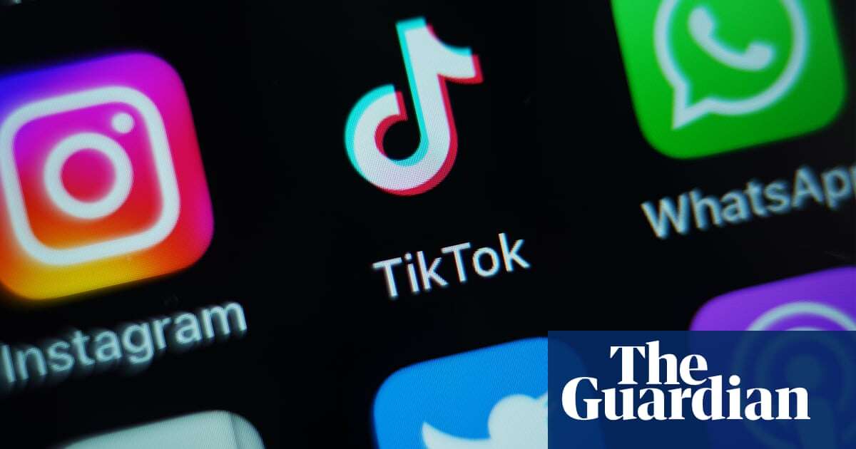 TikTok sued over deaths of children said to have attempted ‘blackout challenge’