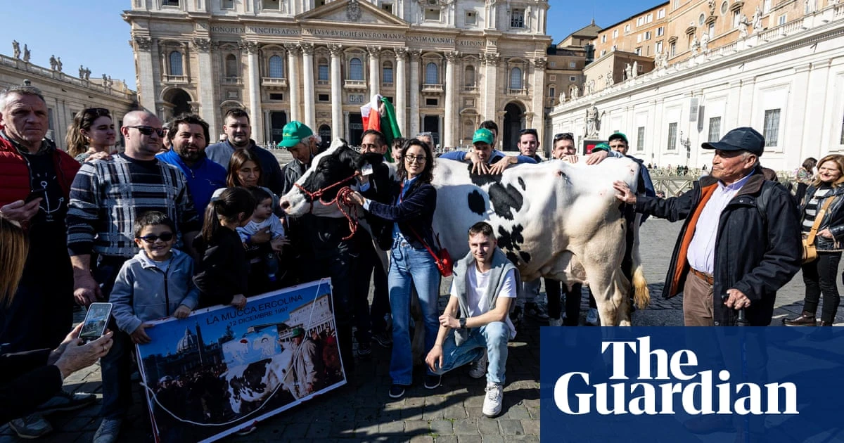 Holy cow! Protesting Italian farmers bring bovine to mass with the pope