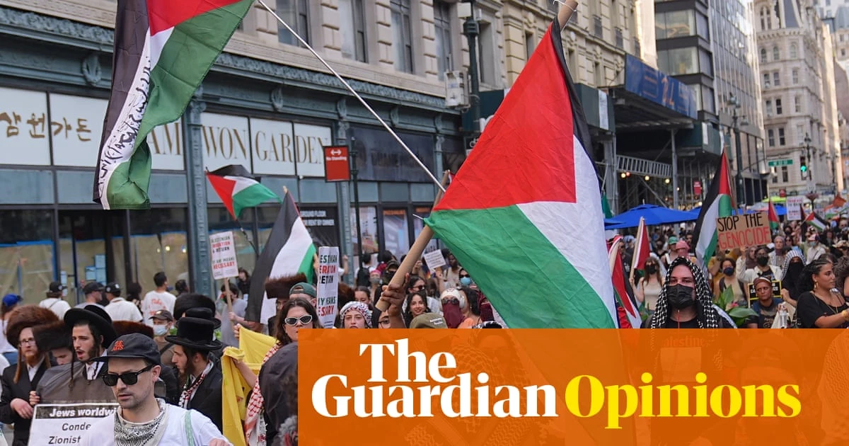 Zohran Mamdani has the Palestinian protest movement to thank for his win |  Heba Gowayed