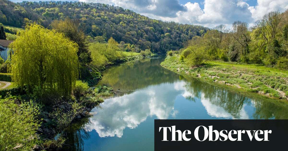 WWF shelved report exposing River Wye pollution ‘to keep Tesco happy’