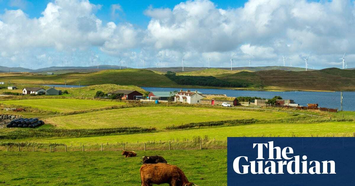 Windfarm profits should be used to screen Scots for rare diseases, says scientist