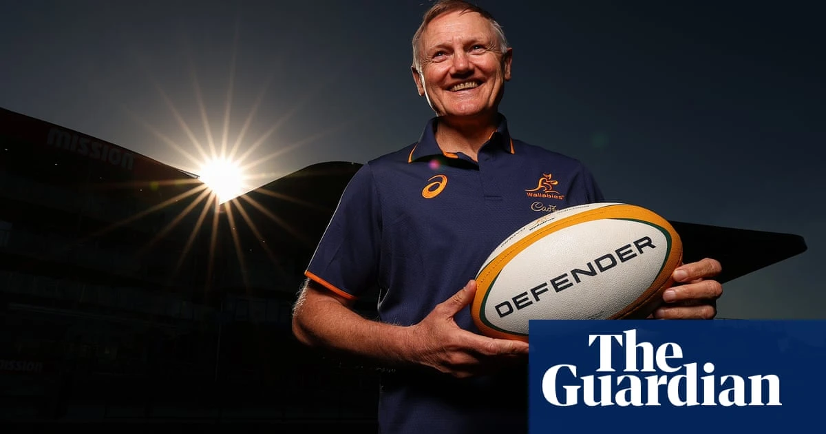 Joe Schmidt turns the page in search of secret to Wallabies success | Jack Snape