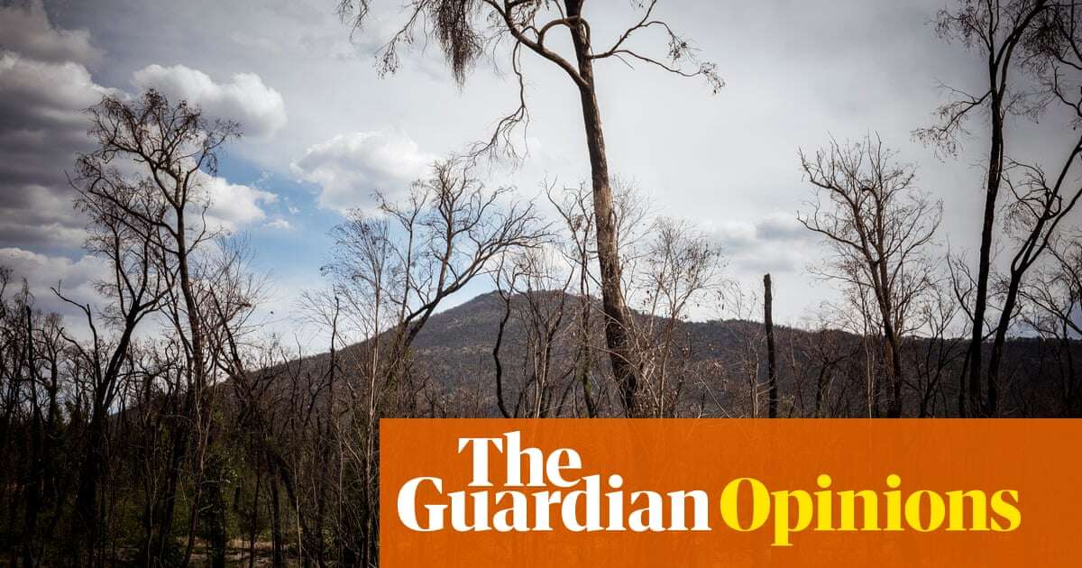 Australia is becoming an uninsurable nation. There may only be one solution | Nicki Hutley