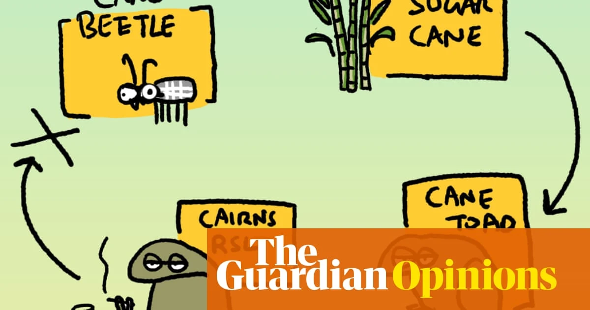 Everyone hates cane toads – even the other cane toads | First Dog on the Moon
