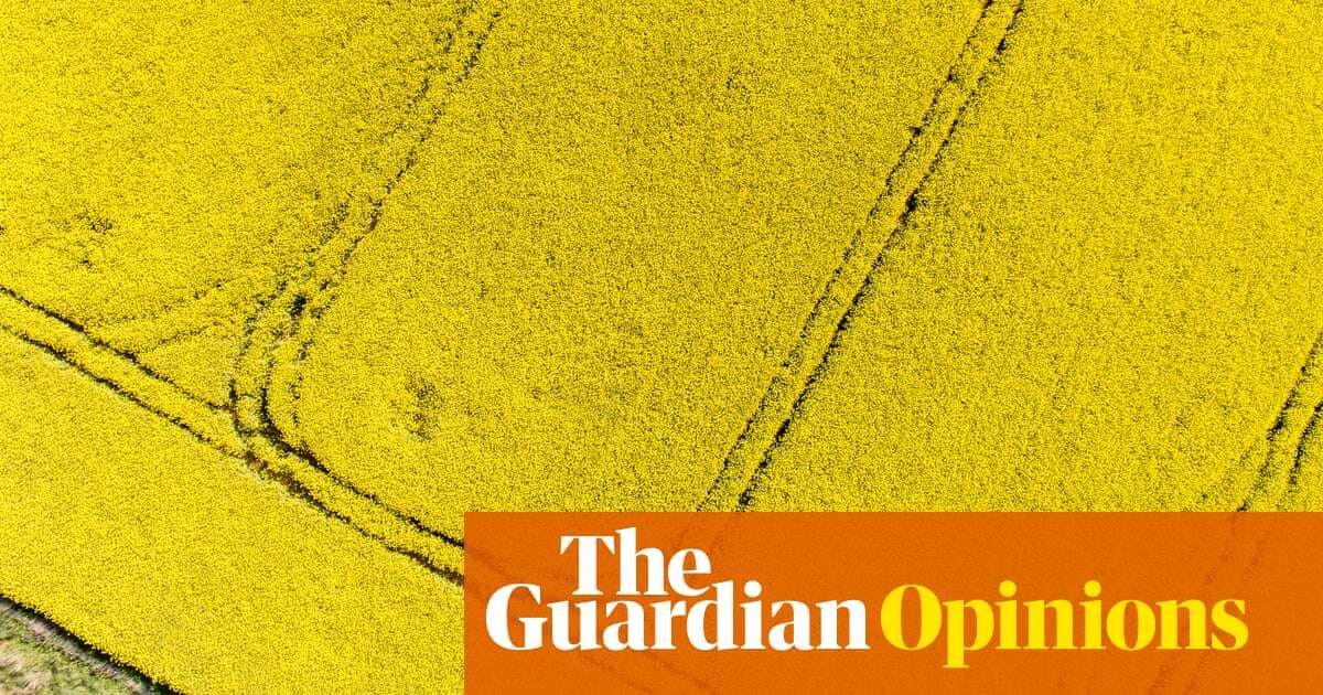 Farming has always been gambling with dirt – but the odds are getting longer | Gabrielle Chan