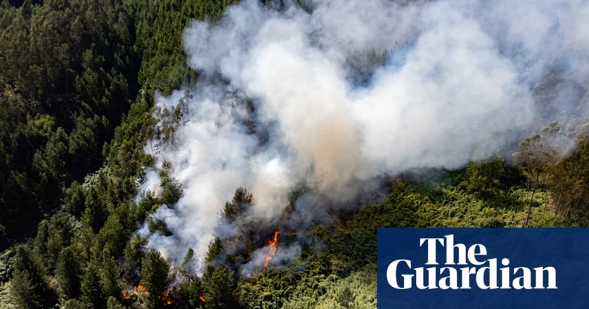 El Niño forecast to drive record heat from the Amazon to Alaska in 2024