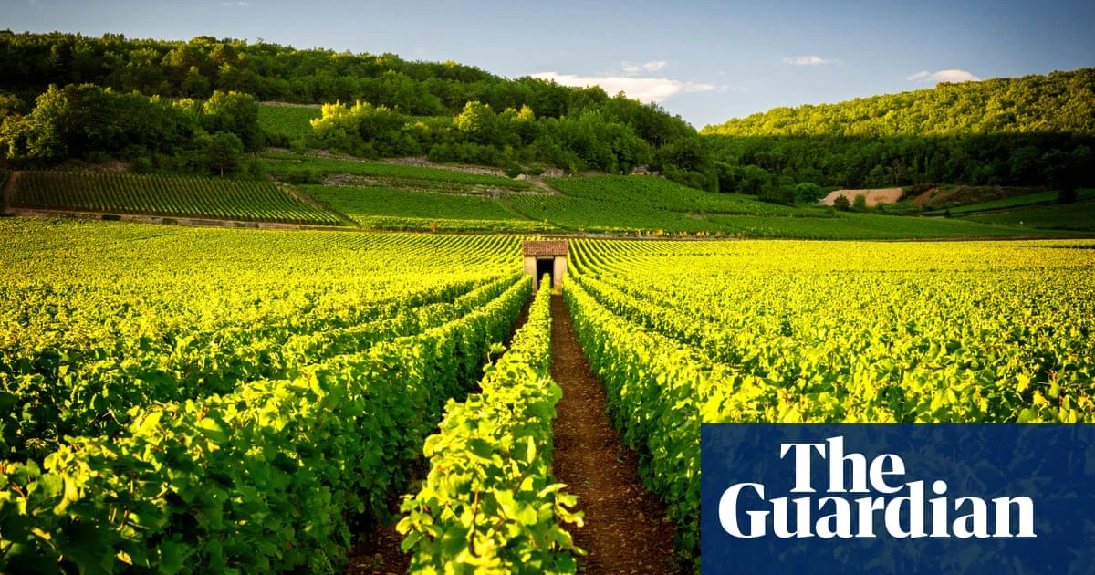 Put down that chardonnay: try an aligoté instead