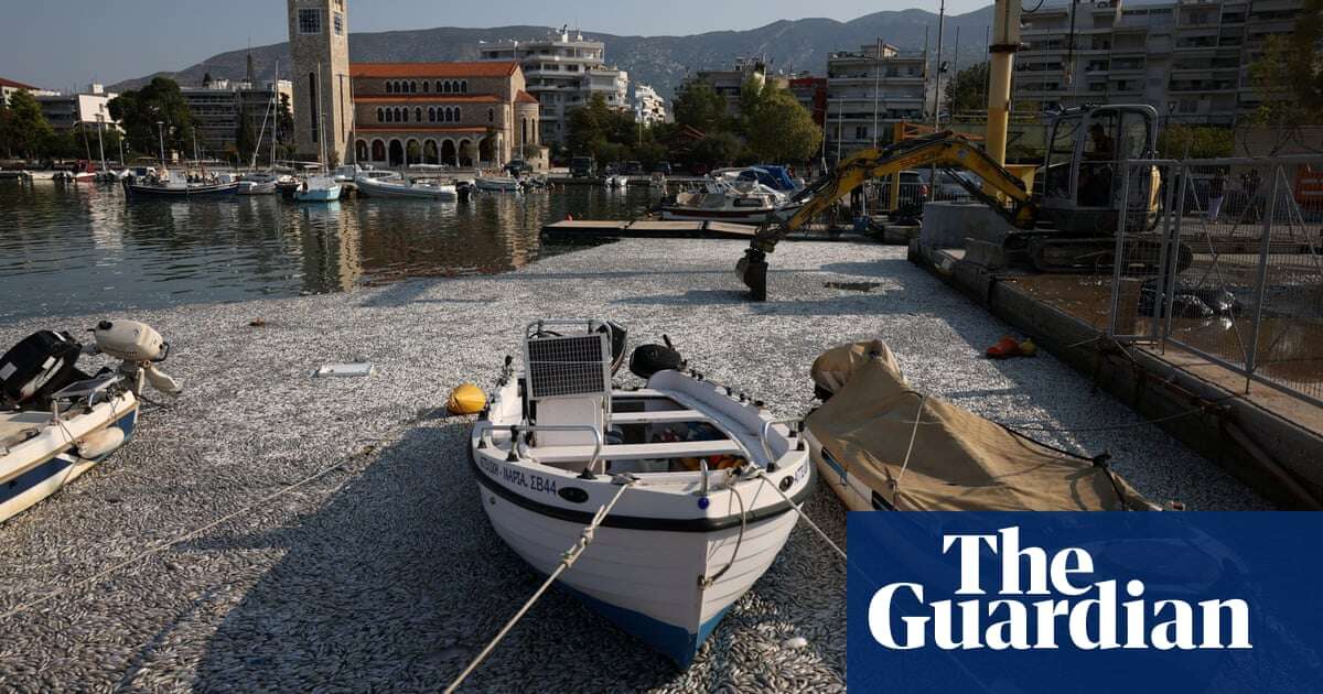 Greece tourist port flooded with hundreds of thousands of dead fish