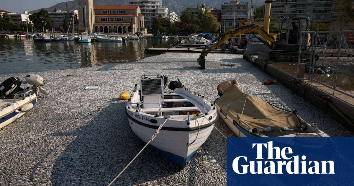 Hundreds of thousands of dead fish blanket Greece tourist port after flooding – video