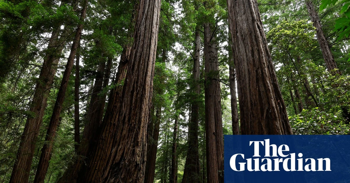 Trump’s move to sanitize US history gets little support with national park visitors