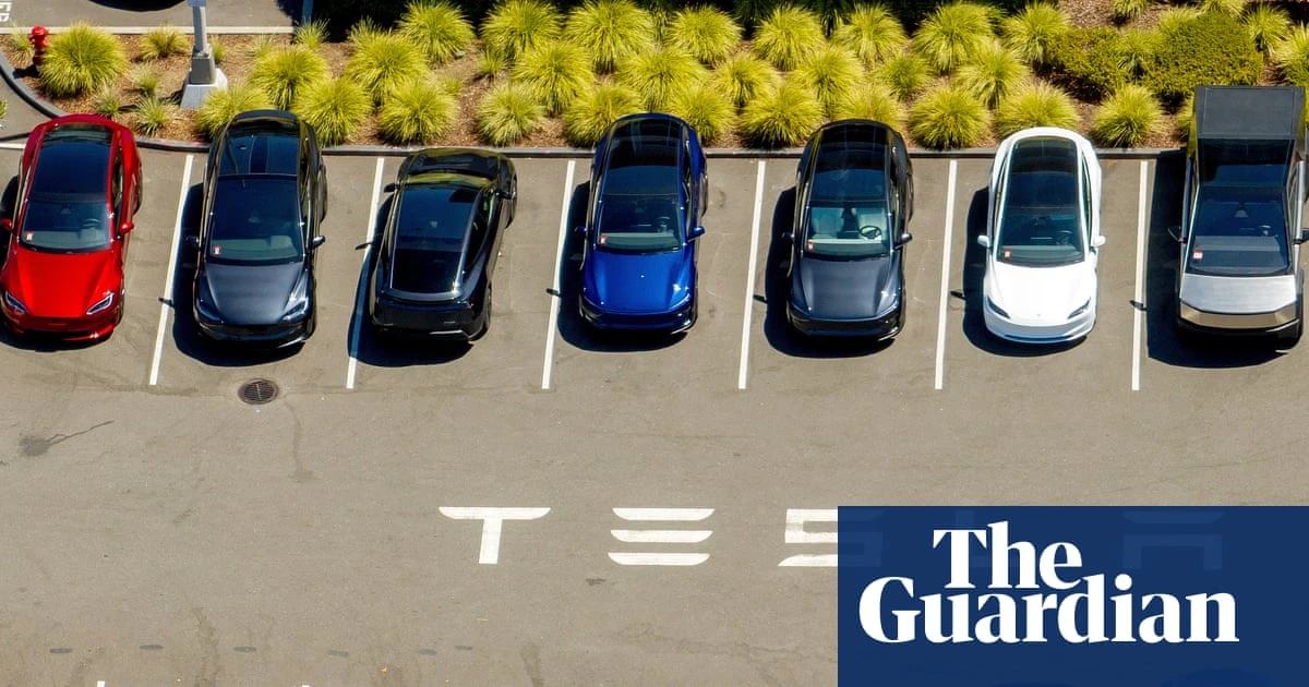 Tesla reports steep drop in profits despite US rush to buy electric vehicles