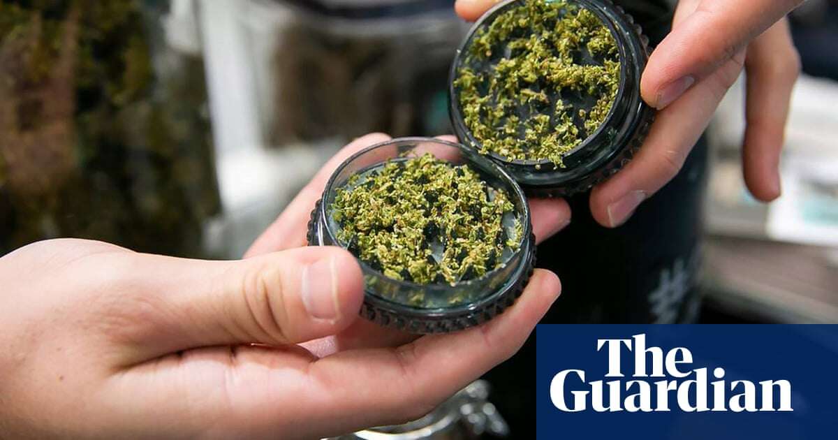 ‘Who knows what they’re going to do?’: US cannabis industry braces itself for Trump administration