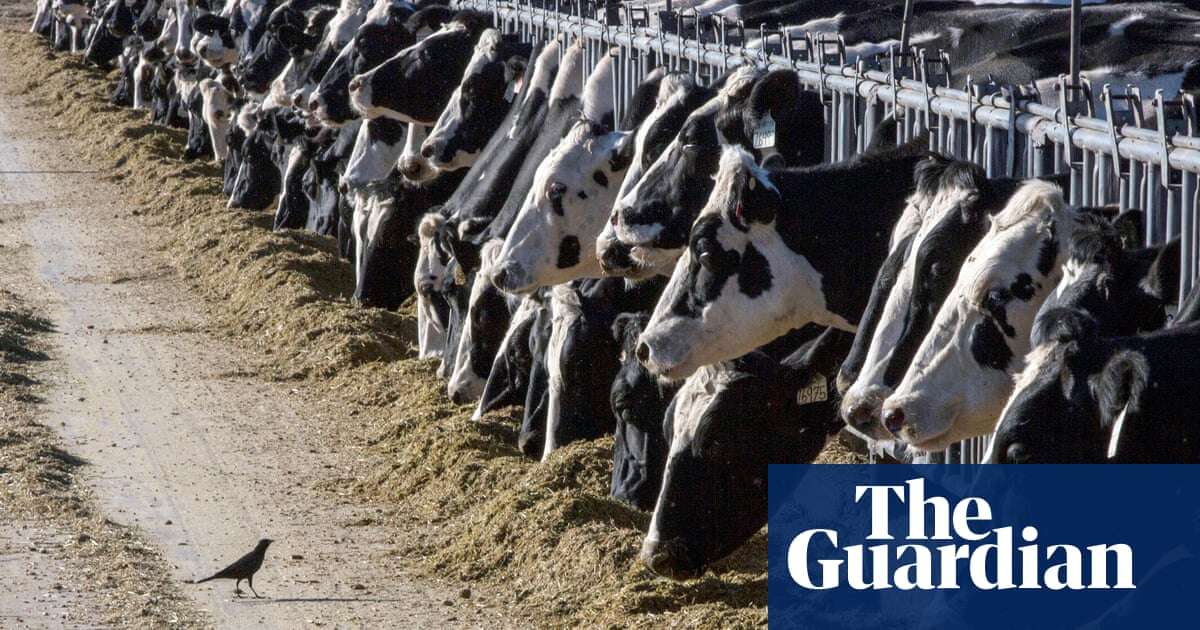 Top food firms urged to do more to cut ‘staggering’ emissions