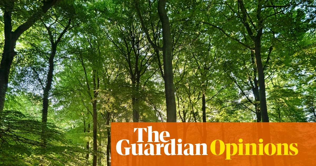 The Guardian view on the cultural life of trees: we must protect our natural heritage | Editorial