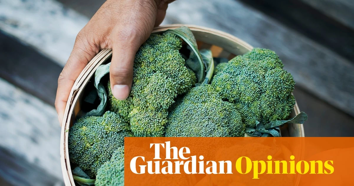 The Guardian view on food and farming: climate chaos hits crops hard – and that should worry everyone | Editorial
