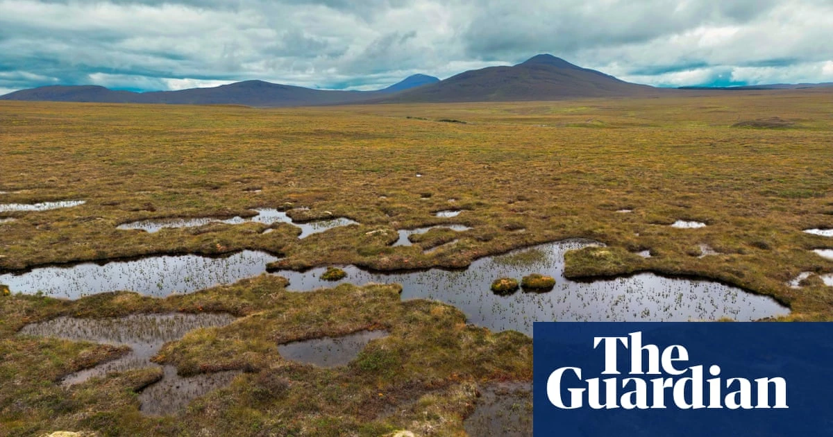 Scotland’s pledge to cut emissions by 75% by 2030 ‘no longer credible’