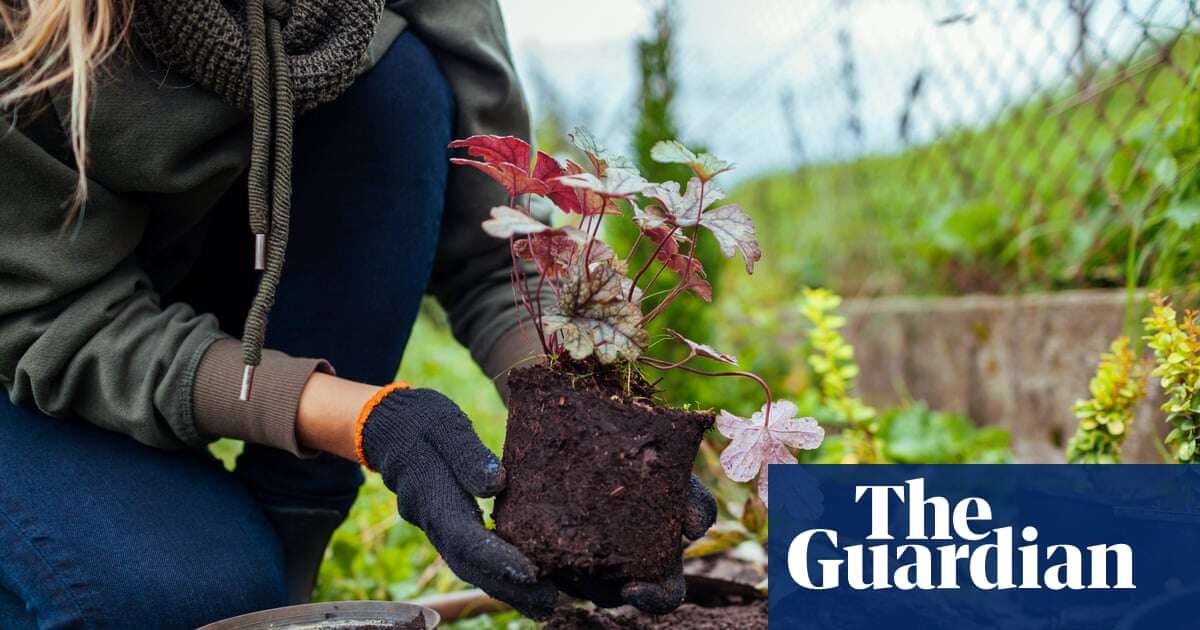 Plant a new flowerbed now and everything will look rosy by spring