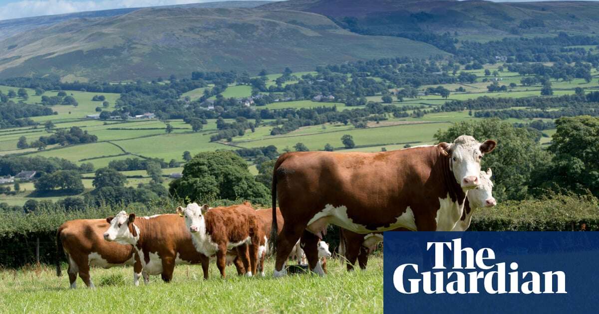 Farmland in England to be reduced by more than 10% under government plans