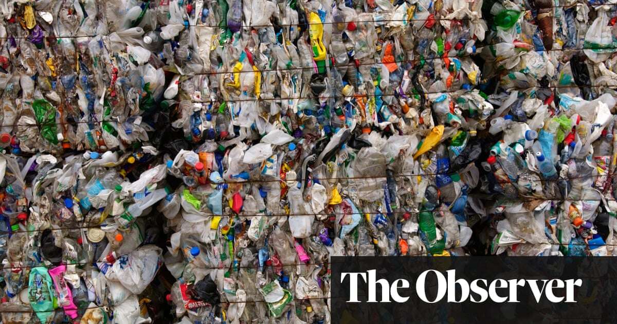 British food firms lobbied to defer £1.7bn plastic packaging tax, documents reveal