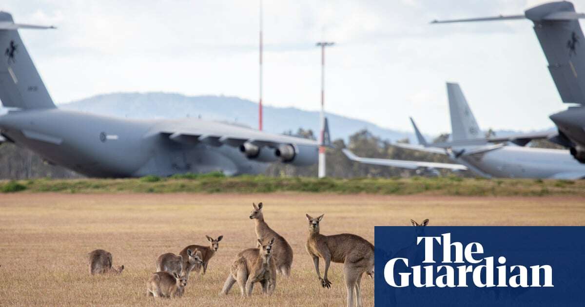 Fire ants could be spreading on Australian military bases due to ‘massive surveillance failure’, experts say