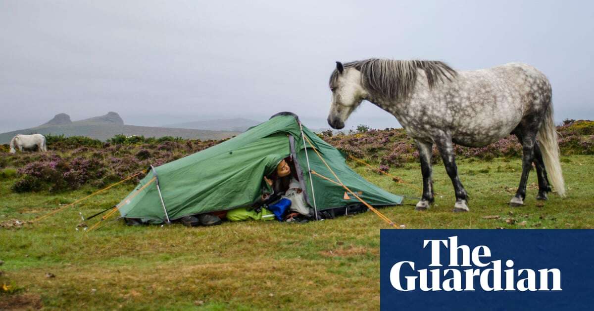 Picnicking on Dartmoor is trespassing, landowner’s lawyers tell court