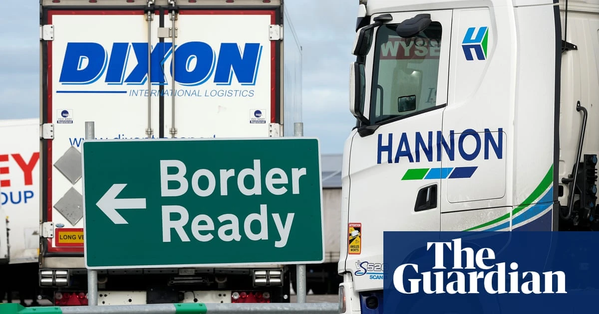 Explainer Defence, travel, science: how post-Brexit relations could warm further