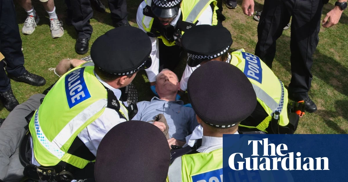 Palestine Action prosecutions should be suspended, say UK rights groups