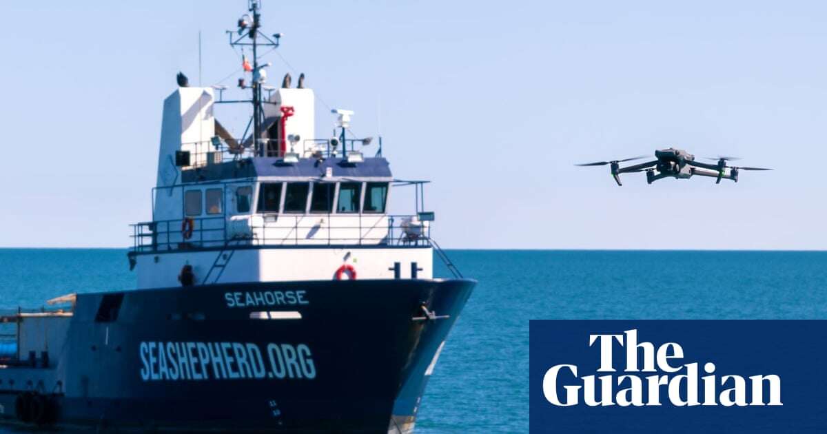 Eyes in the sky: why drones are ‘beyond effective’ for animal rights campaigners around the world