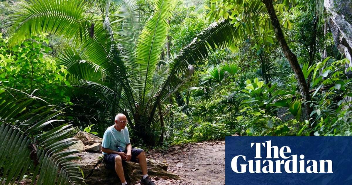 ‘I felt death in the flames’: how lighting a forest fire inspired one man to transform a barren ranch into rainforest