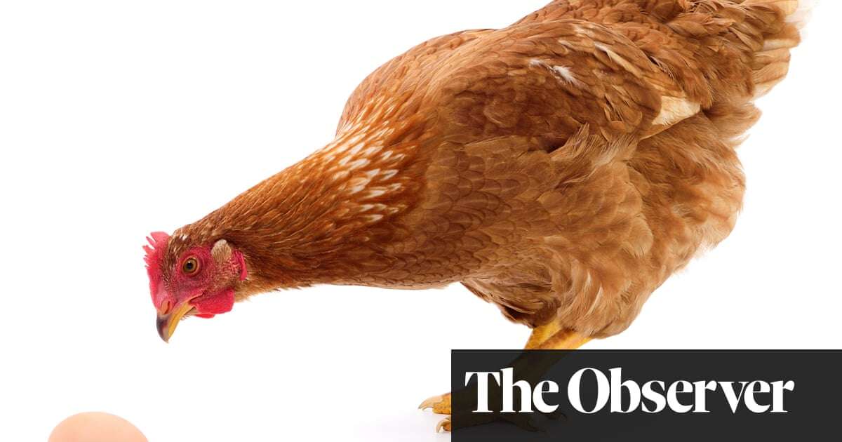 Chicken or egg? One zoologist’s attempt to solve the conundrum of which came first