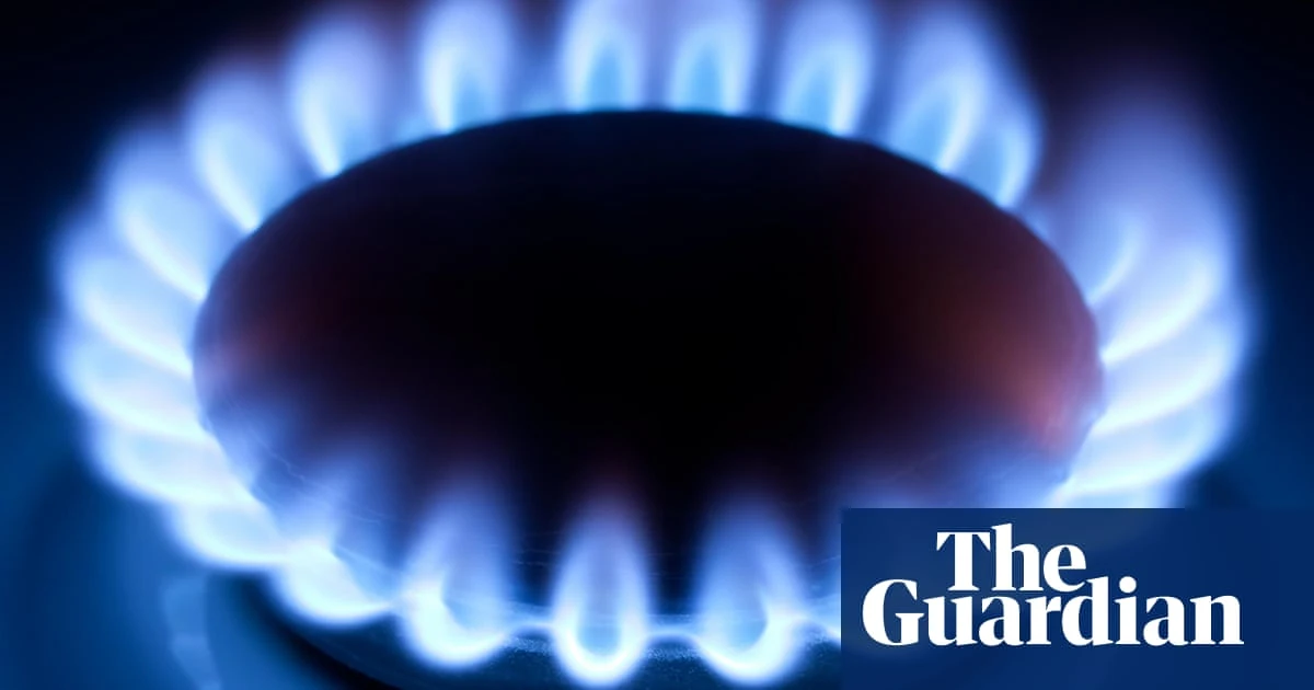 Australian consumer watchdog takes gas company to court alleging it misled consumers over renewables claim