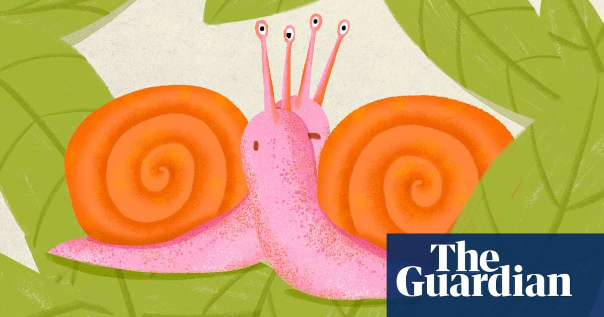 Chunky European snails may be coming to Australia, with their crazy sexual practices – but all in good time