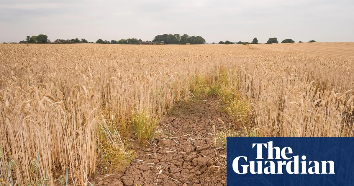 ‘Climateflation’ could push up UK food prices by more than a third by 2050, report says