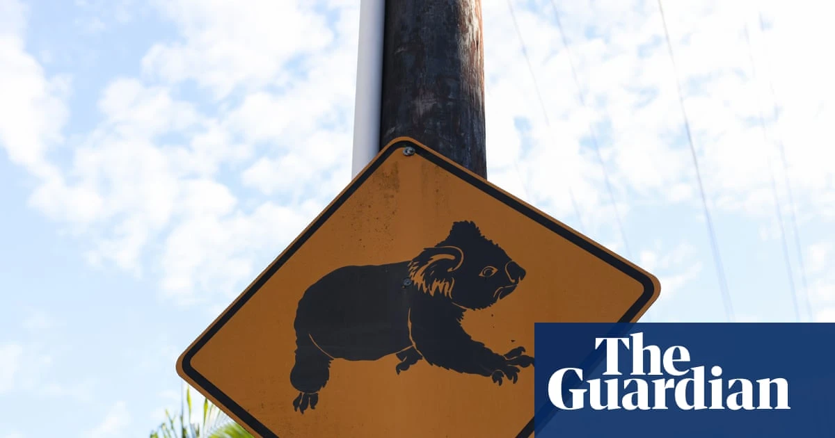 Minns’s $140m great koala national park will ‘obliterate’ regional towns, Coalition claims